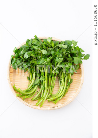 白バックのクレソン 111568630