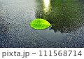 濡れたアスファルトの水たまりの一枚の緑の葉。 111568714