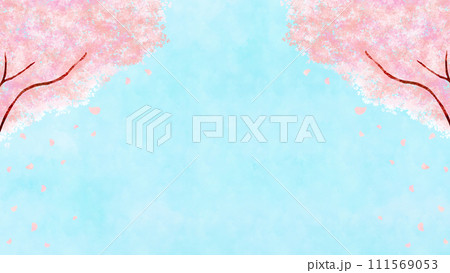 青空と満開の桜の横長背景 コピースペース 青空と満開の桜の横長背景 コピースペース 111569053