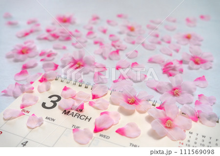 散りばめられた桜の花とカレンダー 散りばめられた桜の花とカレンダー 111569098