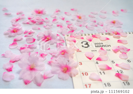 散りばめられた桜の花とカレンダー 111569102