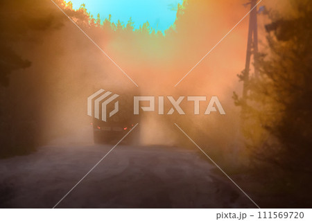 forestry management truck loaded with wood logs 111569720