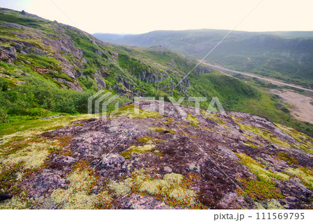 Mountain tundra in Lapland Mountain tundra in Lapland 111569795