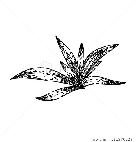 food savory sketch hand drawn vector food savory sketch hand drawn vector 111570225