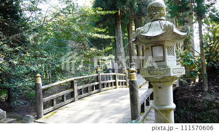 晴れた日の休日の熊本の神社 111570606