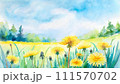 緑の草原に咲いたたんぽぽの黄色い花 111570702