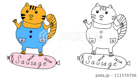 Cat hand drawn on sausage illustration. 111570706