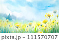 緑の草原に咲いたたんぽぽの黄色い花 111570707