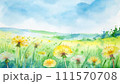 緑の草原に咲いたたんぽぽの黄色い花 111570708