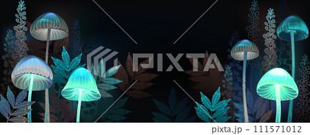 Glowing toadstools banner 111571012