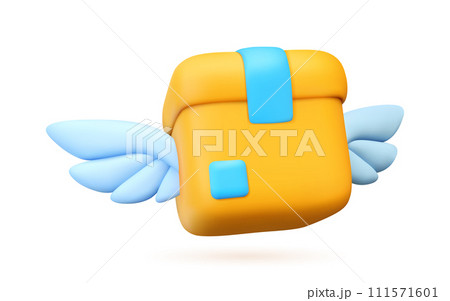 Vector 3d icon box with wings. Vector 3d icon box with wings. 111571601