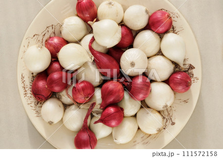 Onion in a clay plate on white background. Salad purple and white onion in rustic bowl. 111572158