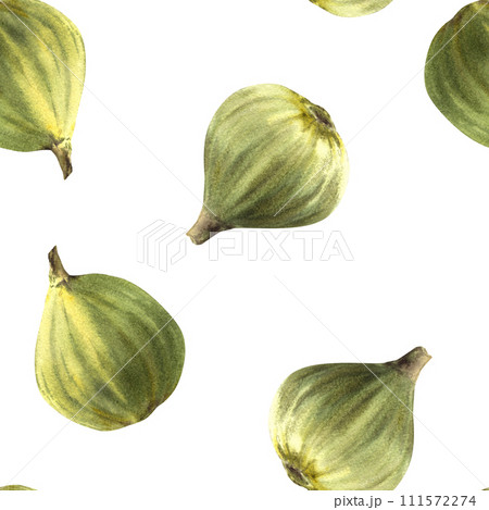 Ripe, juicy fruits of green figs, whole fruits seamless pattern. Food, plant clipart for fabric, label, wallpaper, packaging textile. Hand drawn watercolor illustration. Isolated on white background Ripe, juicy fruits of green figs, whole fruits seamless pattern. Food, plant clipart for fabric, label, wallpaper, packaging textile. Hand drawn watercolor illustration. Isolated on white background 111572274