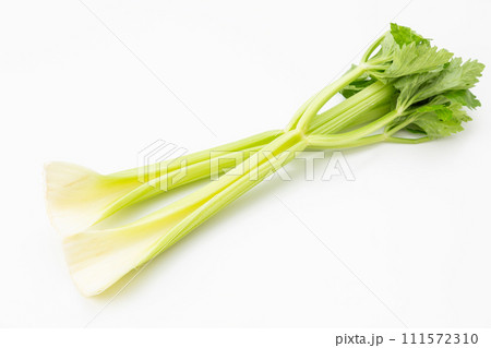白バックのセロリ 111572310