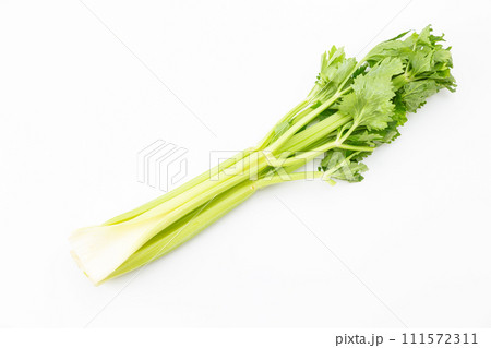 白バックのセロリ 白バックのセロリ 111572311