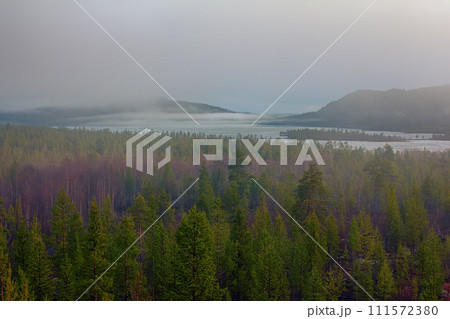 Misty spring morning forest and lake in may 111572380