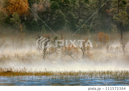 Gorgeous autumn landscape with river and misty forest 111572384