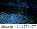 青い水面 111572477