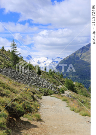 アルプ・ラングアルトに向かう登山道から見たピーツ・グリュシャイント（スイス グラウビュンデン） 111572496