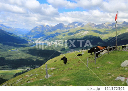 澄み渡る夏空の下 ムオタス・ムライユから絶景を眺めつつ登山道を歩む(スイス グラウビュンデン) 澄み渡る夏空の下 ムオタス・ムライユから絶景を眺めつつ登山道を歩む(スイス グラウビュンデン) 111572501