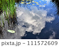 水面に映る青空と白雲 111572609