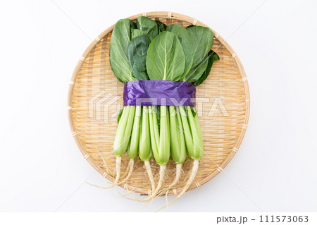 白バックの小松菜（根付き） 111573063