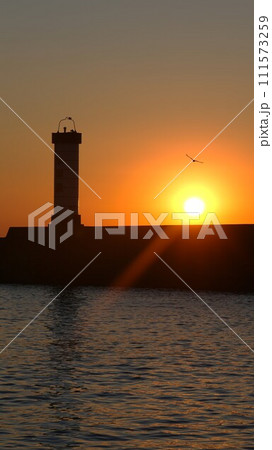 小田原市にて早川港の提灯 小田原市にて早川港の提灯 111573259