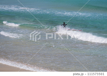 《静岡県》伊豆白浜海岸・エメラルドグリーンの美しいビーチ 《静岡県》伊豆白浜海岸・エメラルドグリーンの美しいビーチ 111573501
