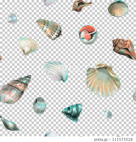 Seashell Pattern on isolated background. Hand drawn watercolor seamless ornament with Sea Shells for wrapping paper or textile in nautical style. Underwater illustration with cockleshell and scallop. Seashell Pattern on isolated background. Hand drawn watercolor seamless ornament with Sea Shells for wrapping paper or textile in nautical style. Underwater illustration with cockleshell and scallop. 111573528