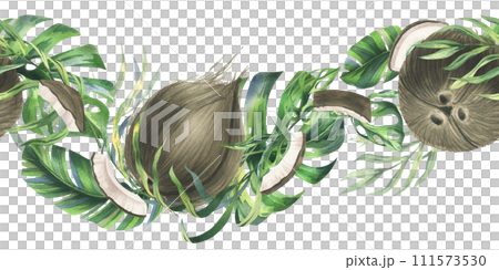 Coconuts whole, halves and pieces with bright, green, tropical palm leaves. Hand drawn watercolor illustration. Seamless border isolated from the background Coconuts whole, halves and pieces with bright, green, tropical palm leaves. Hand drawn watercolor illustration. Seamless border isolated from the background 111573530