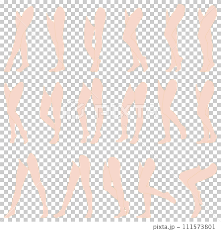 Female leg model illustration collection 12 diagonally left front. A set of illustrations of legs in different poses from toes to hips. 111573801