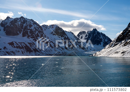Arctic landscape with beautiful lighting in Svalbard Arctic landscape with beautiful lighting in Svalbard 111573802