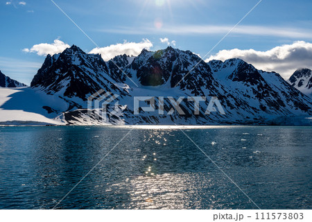 Arctic landscape with beautiful lighting in Svalbard 111573803