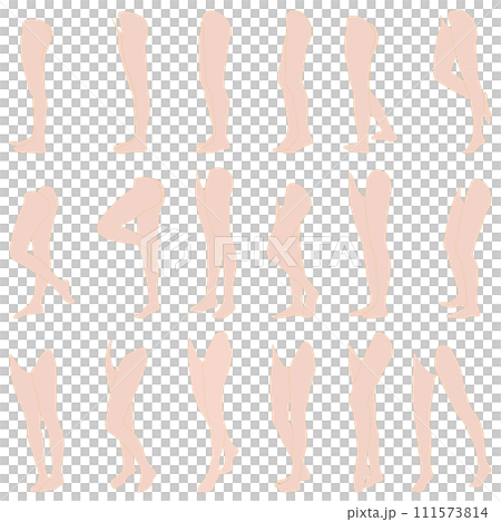 Female leg model illustration collection 05 Left side diagonal front. A set of illustrations of legs in different poses from toes to hips. Female leg model illustration collection 05 Left side diagonal front. A set of illustrations of legs in different poses from toes to hips. 111573814
