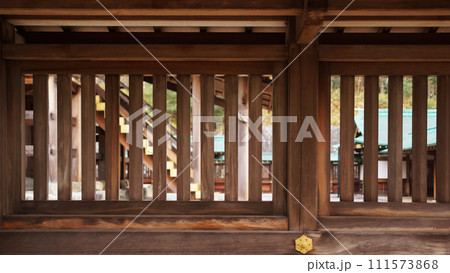 神社の塀の間から 神社の塀の間から 111573868