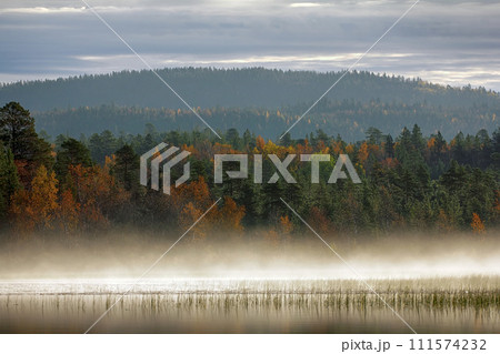 Gorgeous autumn landscape with river and misty forest Gorgeous autumn landscape with river and misty forest 111574232