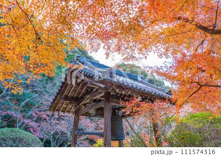 奈良県天理市 紅葉の長岳寺の鐘楼 奈良県天理市 紅葉の長岳寺の鐘楼 111574316