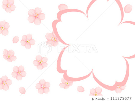 桜の花 桜の花 111575677