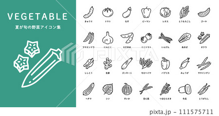 夏が旬の野菜アイコンセット 111575711
