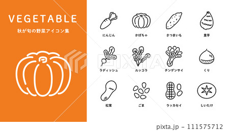 秋が旬の野菜アイコンセット 秋が旬の野菜アイコンセット 111575712