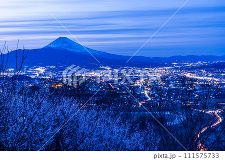 （静岡県）白梅咲く日守山から三島市の街並みと富士山　夕景 111575733