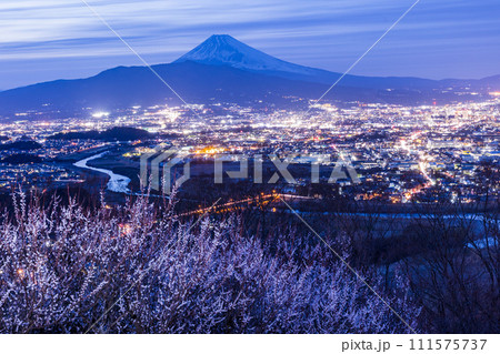 （静岡県）白梅咲く日守山から三島市の街並みと富士山　夕景 111575737