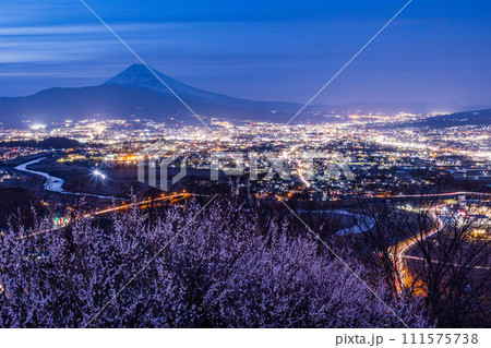 (静岡県)白梅咲く日守山から三島市の街並みと富士山 夕景 (静岡県)白梅咲く日守山から三島市の街並みと富士山 夕景 111575738