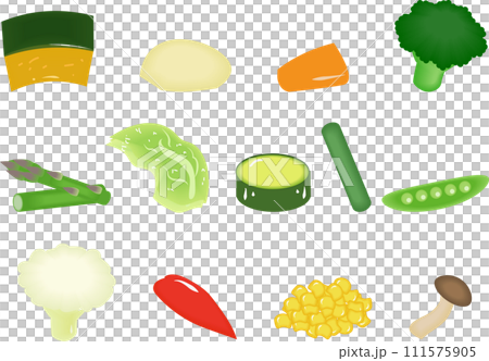 温野菜セット 111575905