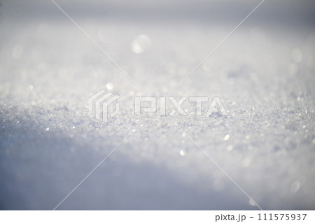 幻影雪景色(中島公園)_2982 幻影雪景色(中島公園)_2982 111575937