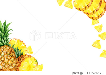 watercolor hand drawn illustration of pineapple with half and slices ripe pineapple, sketch of tropical fruit, food illustration isolated on white background watercolor hand drawn illustration of pineapple with half and slices ripe pineapple, sketch of tropical fruit, food illustration isolated on white background 111576578