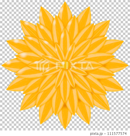 vector illustration of a flower 111577574