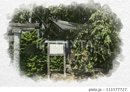 水彩画風　上越　居多神社　雁田神社　新潟県上越市 111577727