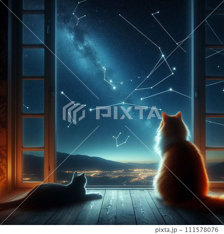 夜空の星座を見ている二匹の猫 111578076
