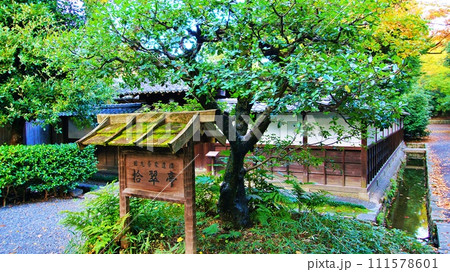 京都御苑 拾翠亭の景観 京都御苑 拾翠亭の景観 111578601